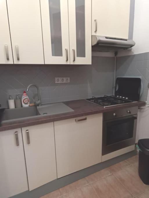 Apartment Trendy 2 Flat, Next To Corvin Mall Free Huge Garage! Ac,dishwasher,washmachine, Smart Tv *